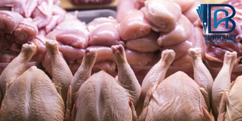 50 هزارتن گوشت مرغ وارد کشور می شود