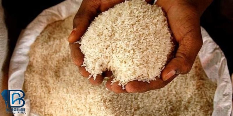 توزیع برنج ایرانی برای تعادل در بازار